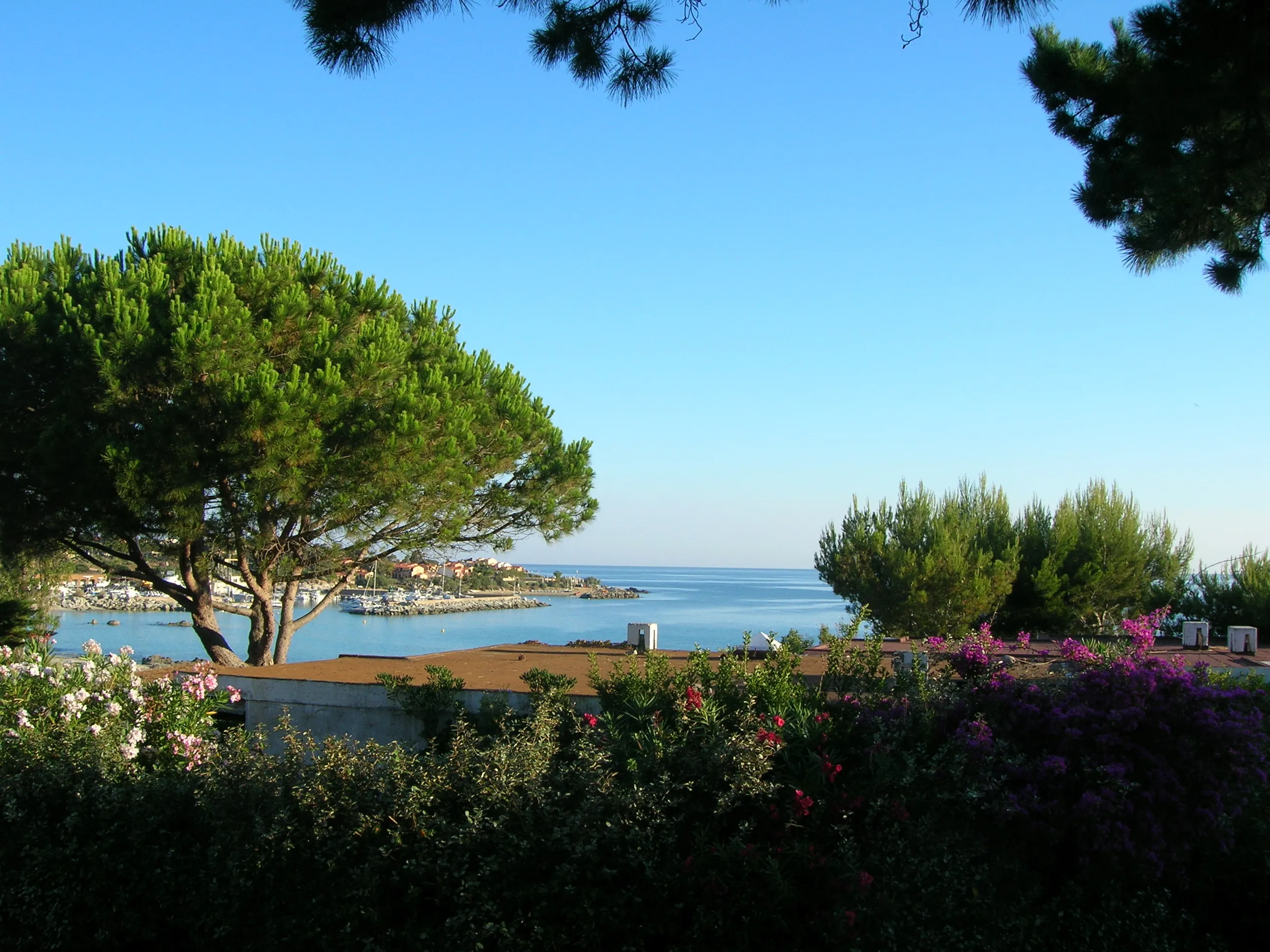 Bohl Corse